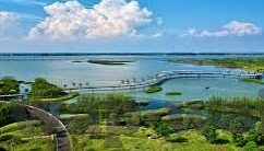 大象传媒18勿进大-象牙塔下的警钟，大象传媒18勿进大