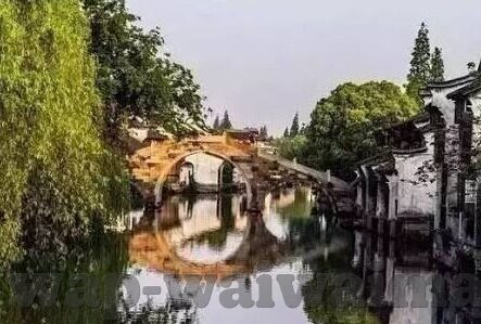 大象传媒短视频下载-探索大象传媒短视频下载，内容、影响与边界