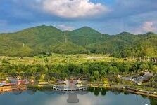 大象传媒下载免费安装-免费安装大象传媒的便捷之道