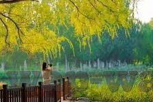 国际亚洲av日韩-跨越文化边界，国际、亚洲、AV与日韩的多元视角探索