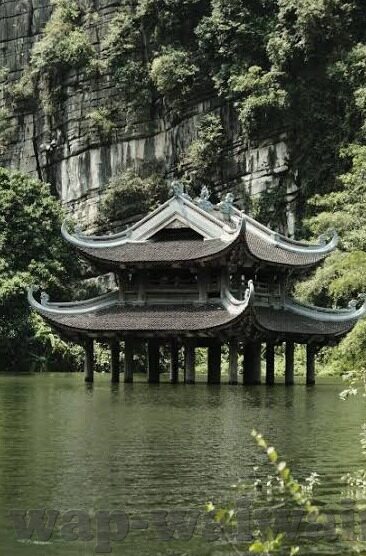 麻豆 91视频-网络世界中的灰色地带——麻豆91视频现象剖析