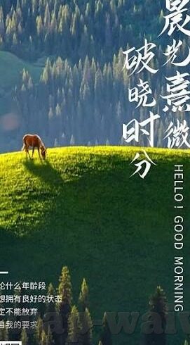 麻豆短视频app下载-掌中魅力，麻豆短视频APP的惊喜世界