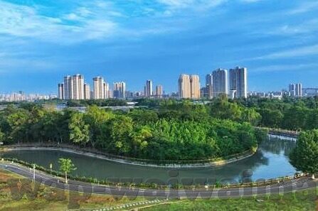糖心旧版官网入口-品位经典，重温时光——漫溯糖心旧版官方平台